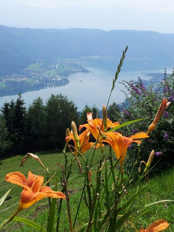 Haus Am Wald Appartement Steindorf am Ossiacher See Buitenkant foto
